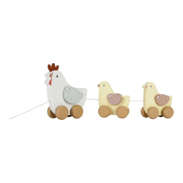 Trainabile Galline