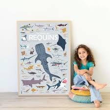 Poster con adesivi Sharks