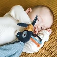 IGNACE DOUDOU ECO