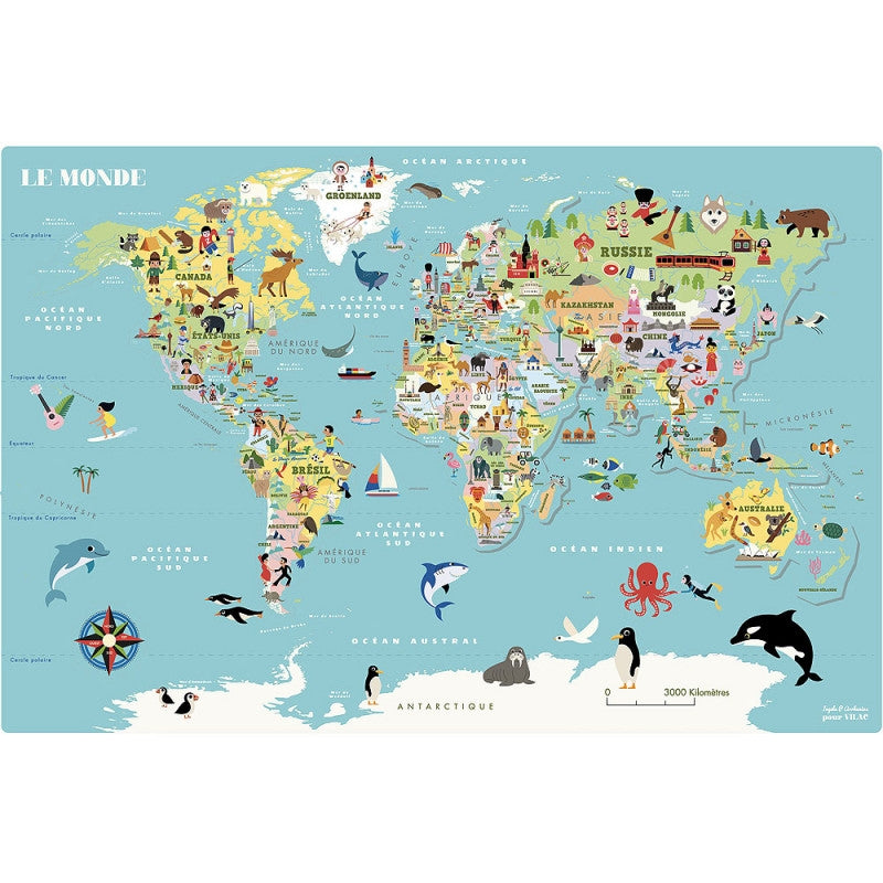 Magnetic map of world ITALIANO