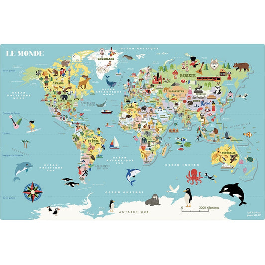 Magnetic map of world ITALIANO