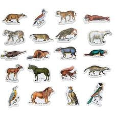 Zoological magnets