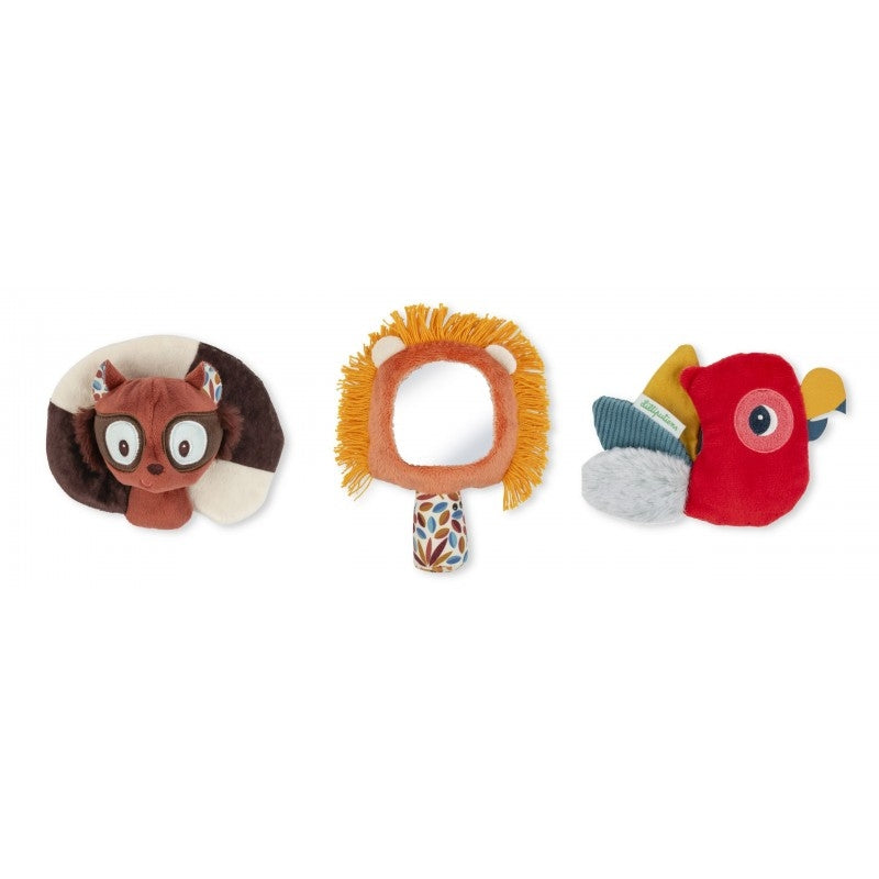 Jack Set Scoperta Sensoriale