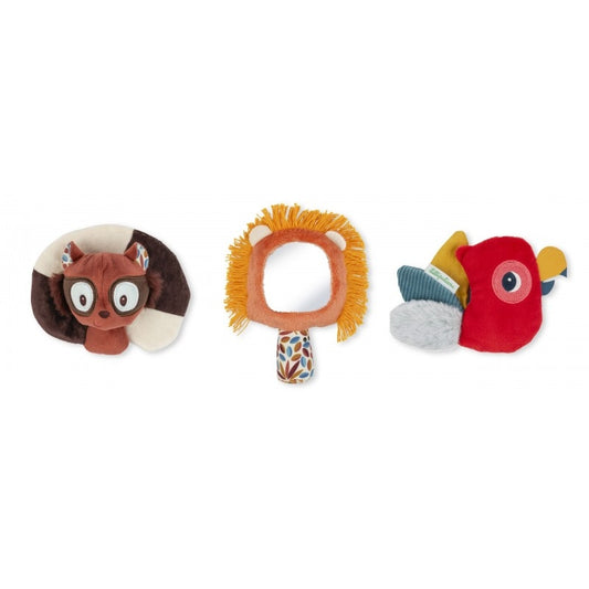 Jack Set Scoperta Sensoriale