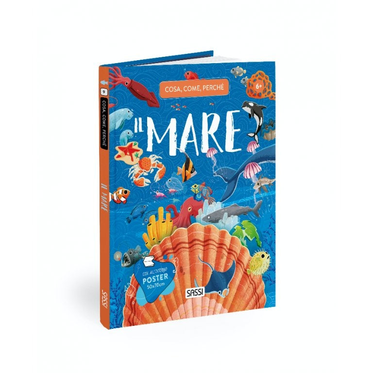 Cosa, Come, Perché - Il Mare