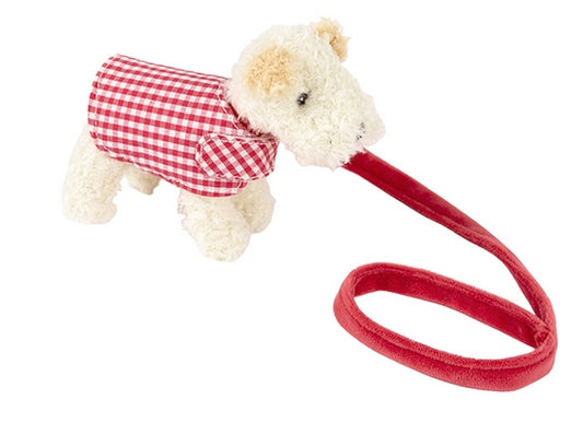 Cane con guinzaglio e cappottino