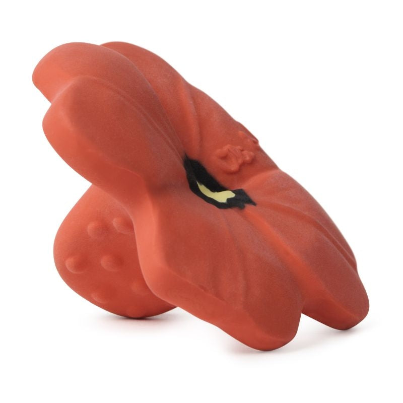 Pop il Papavero