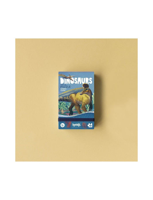 Dinosaurs - Tiny Puzzle Look & Learn